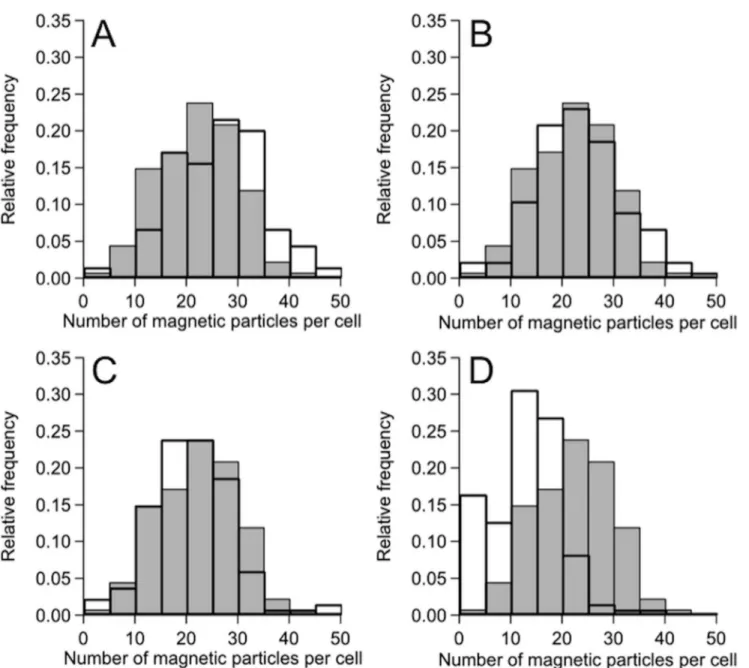 Fig 3. Distribution of the number of magnetosomes in each cell grown in the culture medium containing PEGs