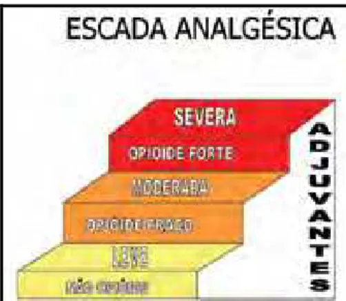 Figura 1- Escada analgésica de dor  28 
