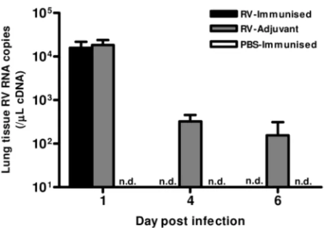 Figure 6. Immunization accelerates virus clearance. Mice were immunized subcutaneously with RV16 VP0 protein plus IFA/CpG or with IFA/CpG adjuvant only and infected intranasally with RV1B or sham  PBS-challenged