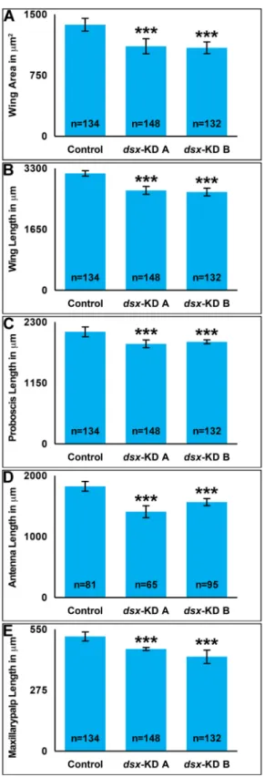Fig 1. Developmental silencing of dsx decreases adult female appendage size. With respect to adult females fed control siRNA nanoparticles as larvae, mean adult wing areas (A), as well as mean adult wing (B), proboscis (C), antenna (D), and maxillary palp 