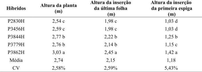 Tabela 02. Dados das características de alturas de planta, última folha e espiga em híbridos de  milho avaliados no município de Uberlândia-MG 