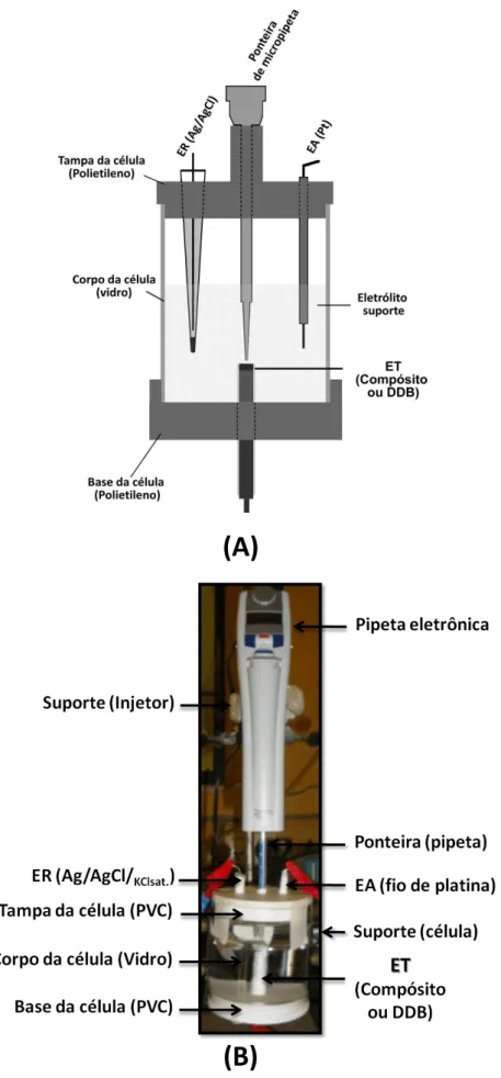 Figura  11.  (A)  Esquema  do  sistema  BIA  (célula  1);  (B)  Respectiva  imagem  da  célula  durante as medidas eletroquímicas