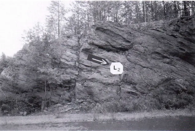 Fig. 4. Strong SW-plunging lineation in the outcrop of dated sample Al209-Sorronmäki. It has been interpreted  as the Proterozoic L 2 
