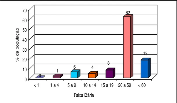 Gráfico 1: Faixa etária da população da comunidade Varão 