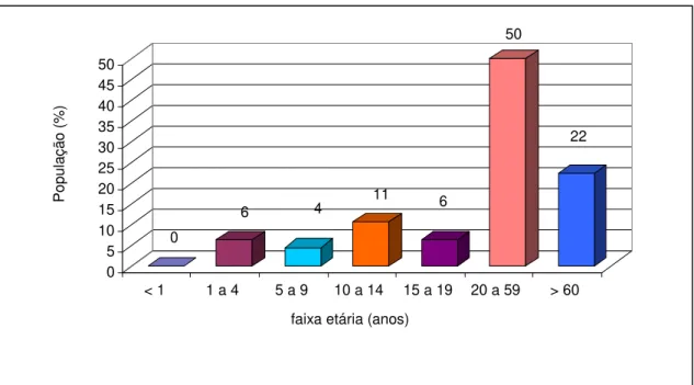 Gráfico 5: Faixa etária da população da comunidade Soledade 