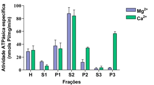 Figura  2:  Atividades  Mg 2+ -ATPásica  e  Ca 2+ -ATPásica  específica  de  frações  de  larva  de  Pachymerus  nucleorum