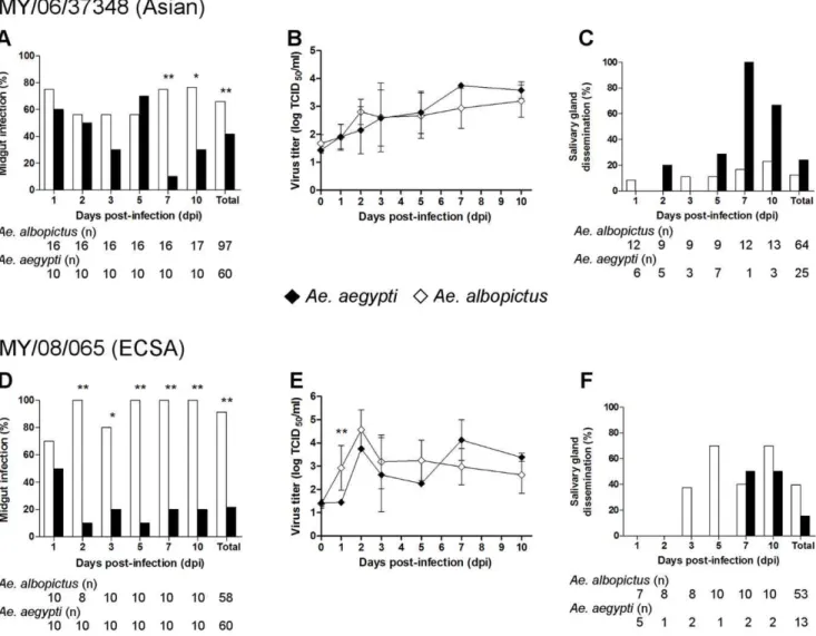 Figure 3. Comparative infection, replication kinetics, and dissemination of each Malaysian CHIKV strain in Ae