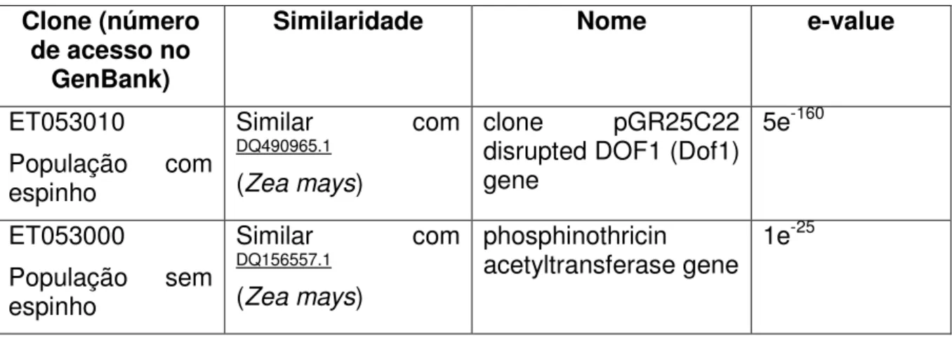 Tabela 2: Análise de Bioinformática (BLASTn) dos clones selecionados por RAPD  em Caryocar brasiliense (Cambess.) com e sem espinho no caroço