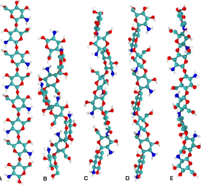 Figura 6 – Estruturas secundárias da quitosana obtidas por cristalografia de raios-X. A) hélice  2; B) hélice 3; C) hélice 4; D) hélice 5; e E) hélice 2 relaxada