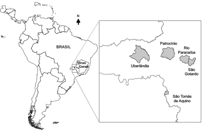 Figura 4. Localização da área de estudo, com detalhe mostrando os municípios. 