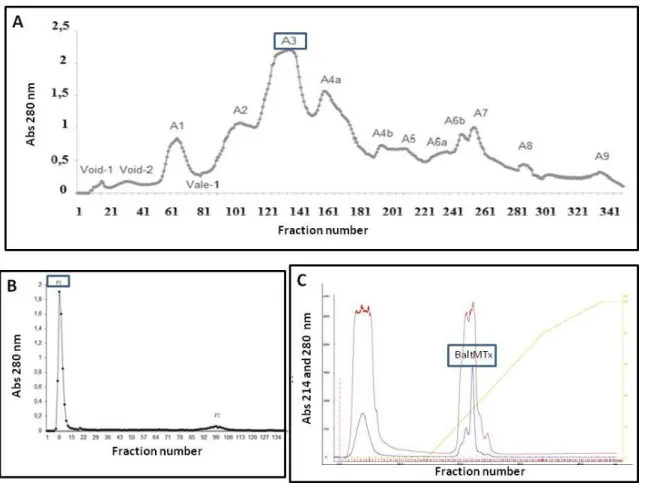 Fig 1.Purification of BaltMTx from B. alternatus snake venom. (A) Separation on  DEAE-Sephacel  ion-exchange  chromatography:  crude  venom  (200  mg)  was  applied to the column (2.5 x 20 cm) and elution was carried out at a flow rate of  20  mL/h  with  