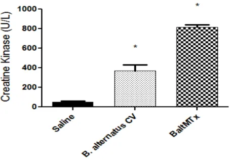 Fig  3.  Myotoxic  activity  of  the  B.  alternatus  crude  venom  and  BaltMTx:  The  myotoxic  activity  was  evaluated  using  a  creatine  kinase  (CK)  kit