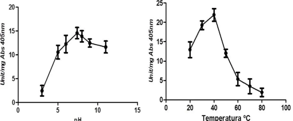 Figura 6: Efeito do pH e da temperatura na estabilidade da atividade catalítica da  metaloprotease  Botropoidina  sobre  a  azocaseína