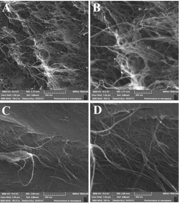 Figura 19.  Imagens de SEM para SWCNT. A e B - CNT não funcionalizado, C e D -  CNT funcionalizado
