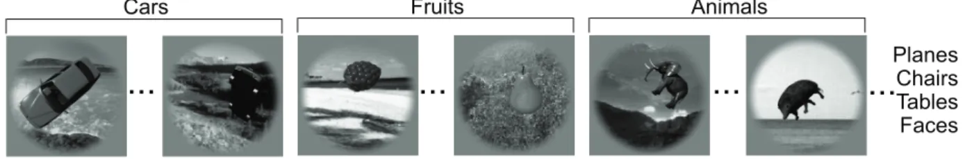 Fig. 1. Example images used to measure object category recognition performance. Two of the 1960 tested images are shown from the categories Cars, Fruits, and Animals (we also tested the categories Planes, Chairs, Tables, and Faces)
