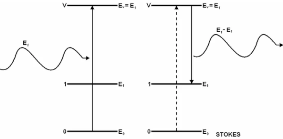 Figura III.11 – Transição do nível excitado para o nível fundamental. Processo Stokes (FISICA