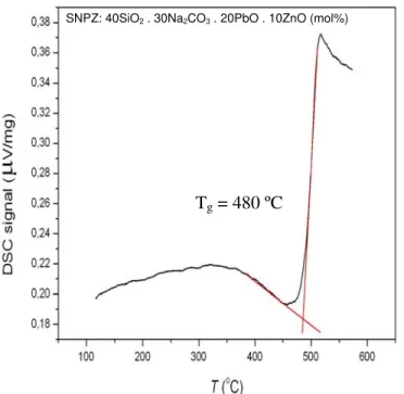 Figura IV.1 – Termograma DSC da matriz vítrea SNPZ, aquecida à taxa de 20 o C/min. 