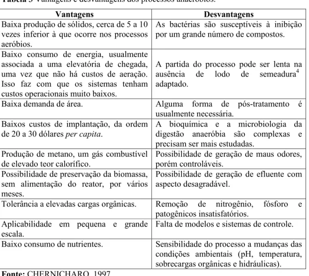 Tabela 3 Vantagens e desvantagens dos processos anaeróbios. 