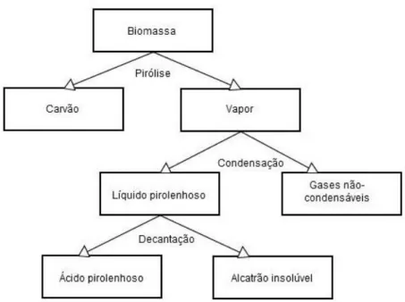 Figura  10-  Produtos  gasosos,  líquidos  e  sólidos  obtidos  da  pirólise  de  biomassa  lignocelulósica