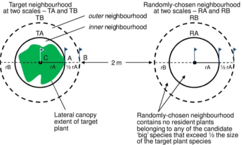 Figure 1. Diagram illustrating the sampling methods used. For the target plot (left), TA represents the inner neighbourhood of radius A (rA), determined as the extreme lateral extent of the target species
