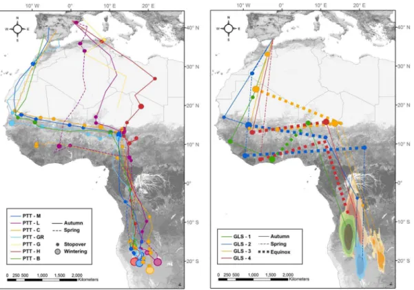 Fig. 1. Migratory routes, stopover sites and wintering grounds of southwestern European Rollers