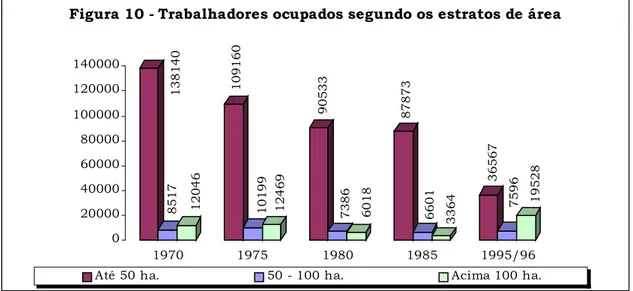 Figura 10 - Trabalhadores ocupados segundo os estratos de área