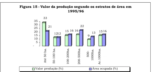 Figura 15 - Valor da produção segundo os estratos de área em  1995/96