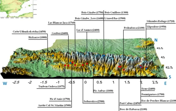 Fig. 1. Location of the 22 MXD chronologies. Close red and blue circles indicate the tree species sampled at each site: Pinus uncinata and Abies alba, respectively