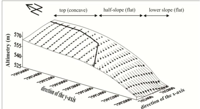 FIGURE 1. Digital elevation model with vectors (representing the path surface and intensity of  water flow) of the study area