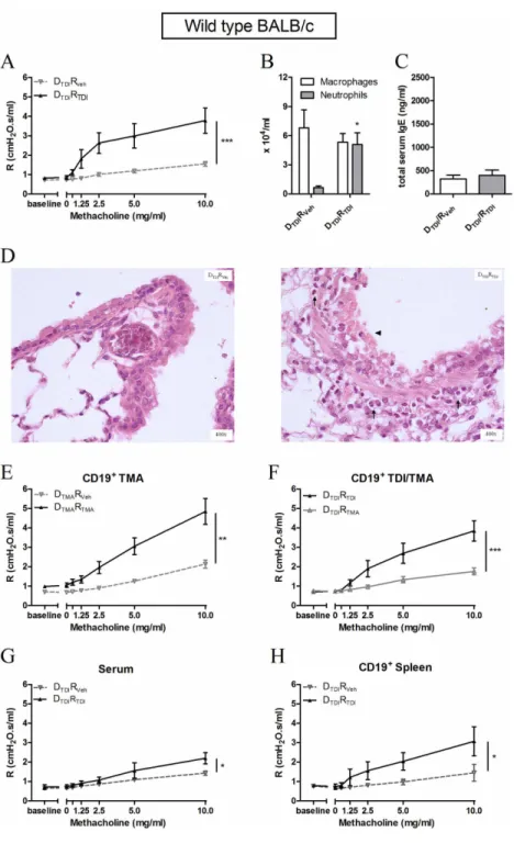 Figure  2.    Production  of  an  asthma-like  response  in  naïve  wild  type  BALB/c  mice  after  having  received  B- B-lymphocytes