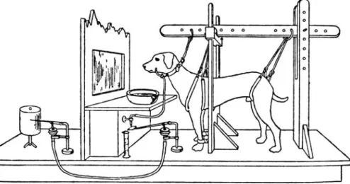 FIG. 1.5. A dog in the experimental apparatus used by Pavlov.
