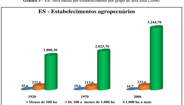 Gráfico 3 – ES: Área média por estabelecimento por grupo de área total (2006) 
