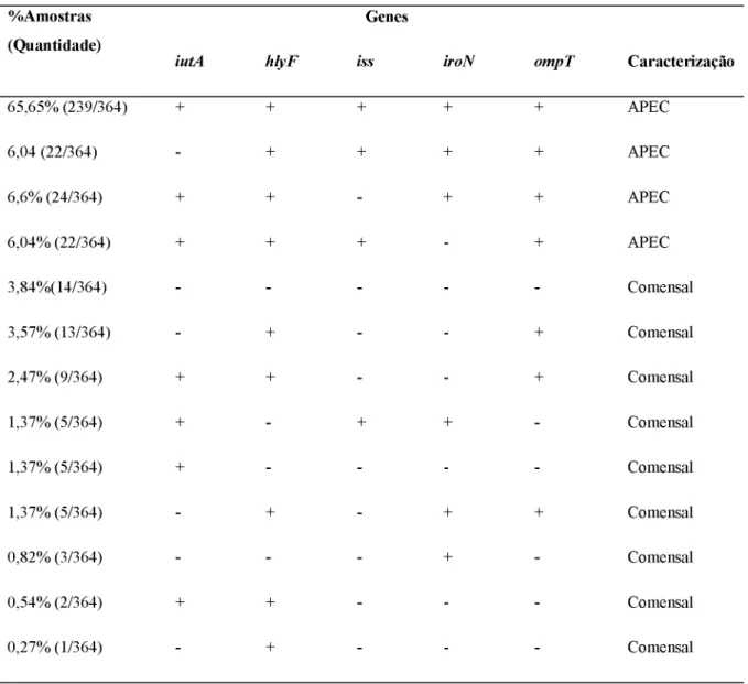Tabela  2.  Presença  e  combinação  de  genes  pesquisados  nos  isolados  caracterizados  como  APEC e comensais.