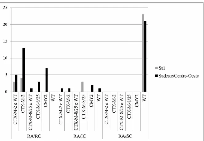 Figura 2. Distribuição dos grupos de beta-lactamases e pAmpC nos fenótipos de resistência e  estados produtores pesquisados.