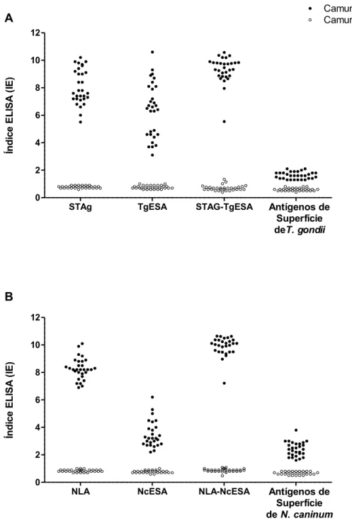 Figura  I.2.  Caracterização  do  padrão  de  reatividade  específica  de  IgG  de  camundongos  à  diferentes  frações  antigênicas  de  N
