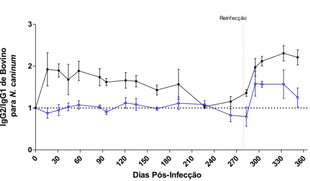 Figura  II.4.  Perfil  de  reatividade  sorológica  entre  IgG1  e  IgG2  específico  a  Neospora  caninum  em  modelo  de  infecção  experimental