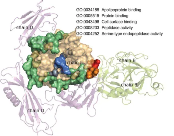 Figure 1. Multi-interface domain illustration. Domain a of protein A interacting with domain b of protein B produces interface a–b on domain a, and domain a binding to protein C generates interface a–c on domain a
