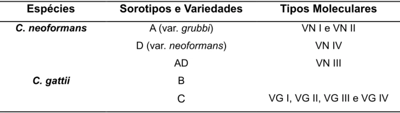 Tabela  1:  Correspondência  de  espécies,  sorotipos,  variedades  e  tipos  moleculares do complexo Cryptococcus sp., conforme Meyer et al