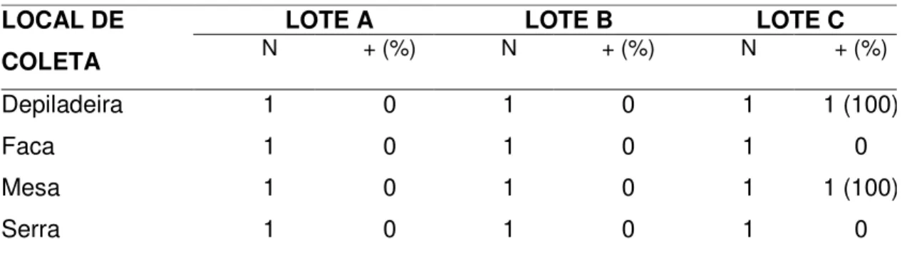 Tabela 4 – Positividade para Campylobacter spp. na superfície de equipamentos e  utensílios durante o abate de suínos