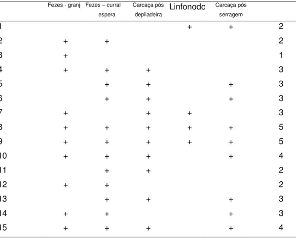 Tabela  5  -  Positividade  para  Campylobacter  spp.  nos  animais  do  Lote  A,  individualmente por local amostrado