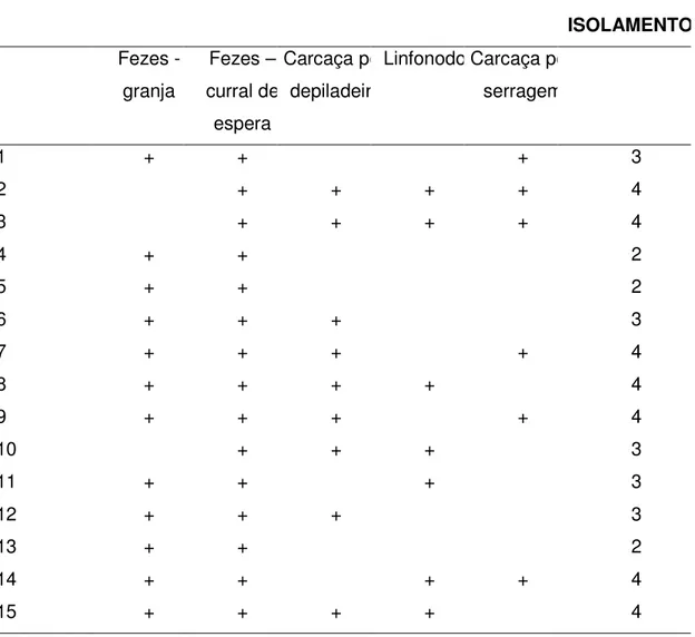 Tabela  7.  Positividade  para  Campylobacter  spp.  nos  animais  do  lote  C,  individualmente por local amostrado 