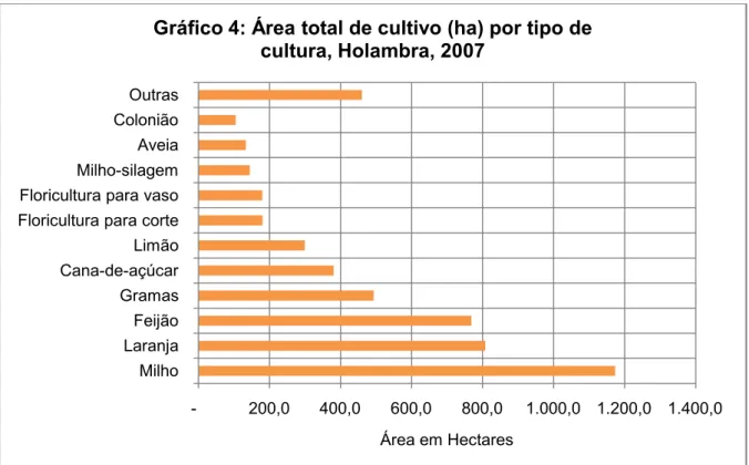 Gráfico 4: Área total de cultivo (ha) por tipo de  cultura, Holambra, 2007