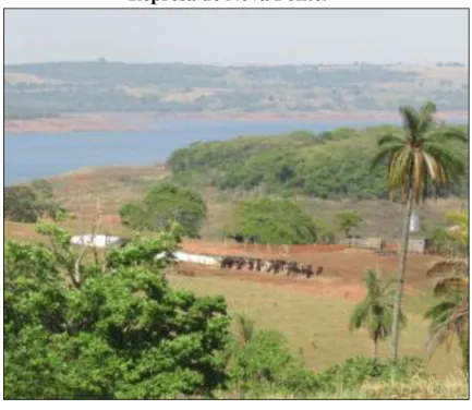 Foto 4 – Propriedade rural do Setor do Barreiro, próxima às margens da   Represa de Nova Ponte