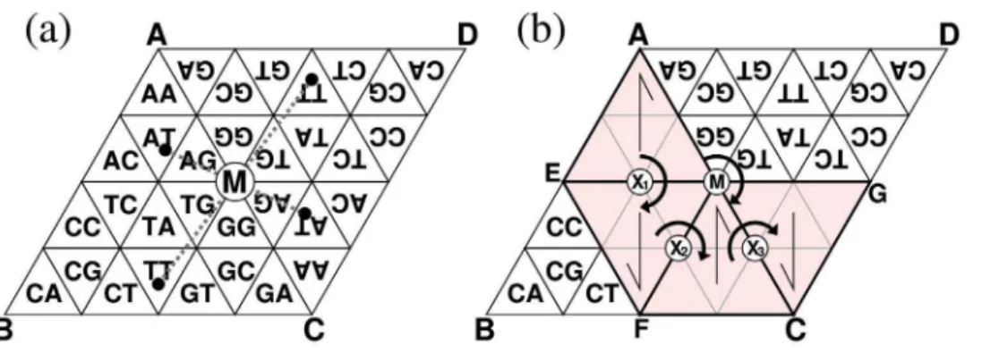 Figure 8. Relationship between addresses and cells (a) and affine transformations (b)