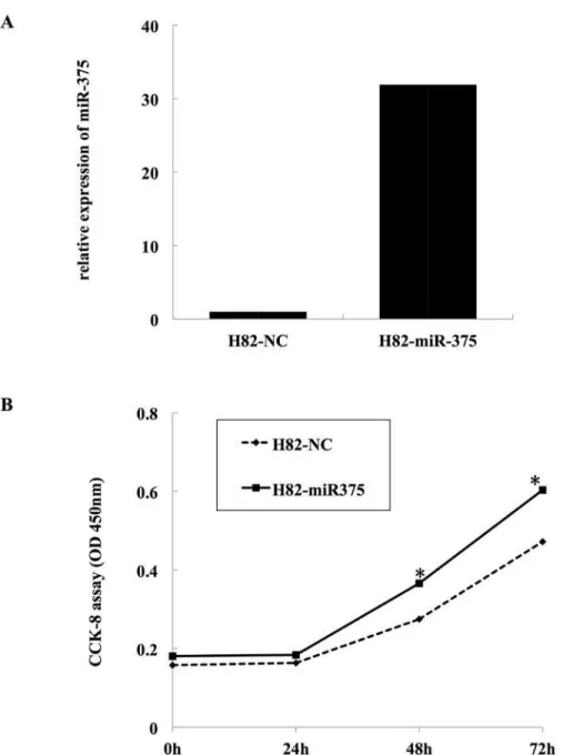 Fig 5. Effect of miR-375 on cell growth of NCI-H82. A, miR-375 expression of both H82-NC and H82-miR- H82-miR-375.NCI-H82 cells were infected with miR-375-expressing (H82-miR-375) or empty (H82-NC) lentivirus prior to the proliferation assay
