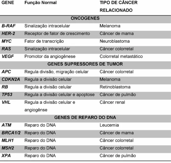 Tabela  1  -  Genes  envolvidos  na  transformação  neoplásica  -   Adaptada  de  (SERRANO  et  al.,  2014).