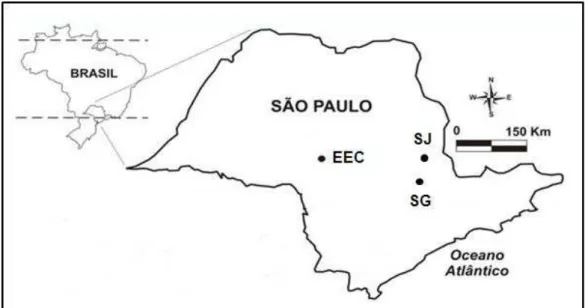 FIGURA 4. Localização dos três fragmentos de Mata Atlântica do estado de São Paulo que foram  estudados (adaptado de BRANCALION, 2009)