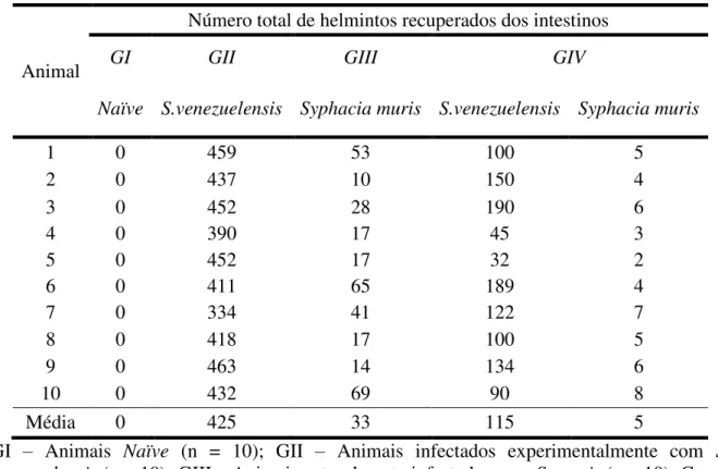 Tabela 1.  Número total de parasitos adultos de  S.  venezuelensis e  S.  muris recuperados dos  intestinos dos ratos infectados dos quatro grupos estudados