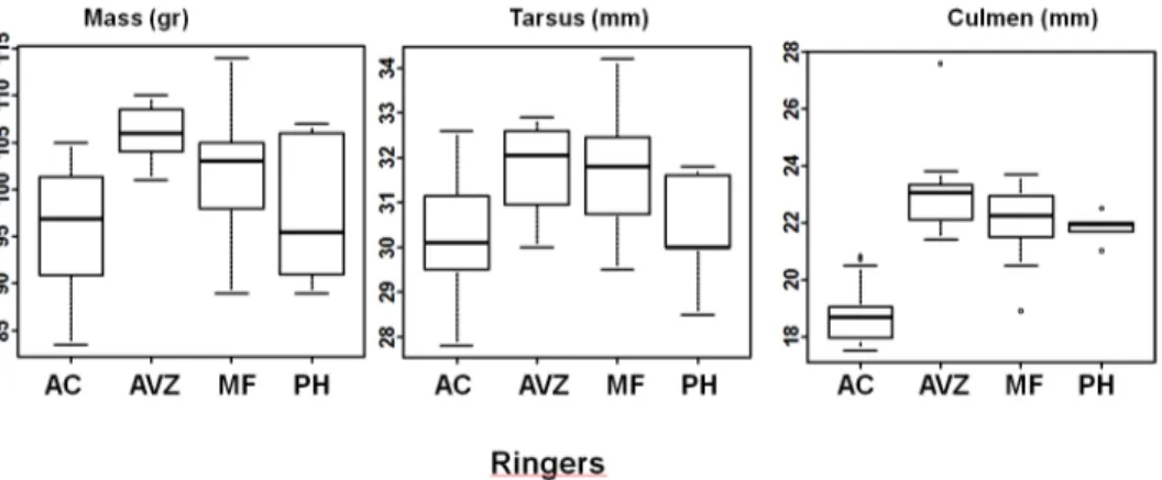 Fig 1. Differences of morphological measurements between ringers. Box plots of mass, tarsus and culmen data recorded by the four ringers over two years.