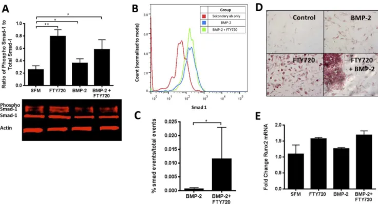 Figure 3. FTY720 is released from PLAGA microspheres over 28 days. (A) Fraction of FTY720 release from PLAGA microspheres with a drug to polymer ratio of 1:200